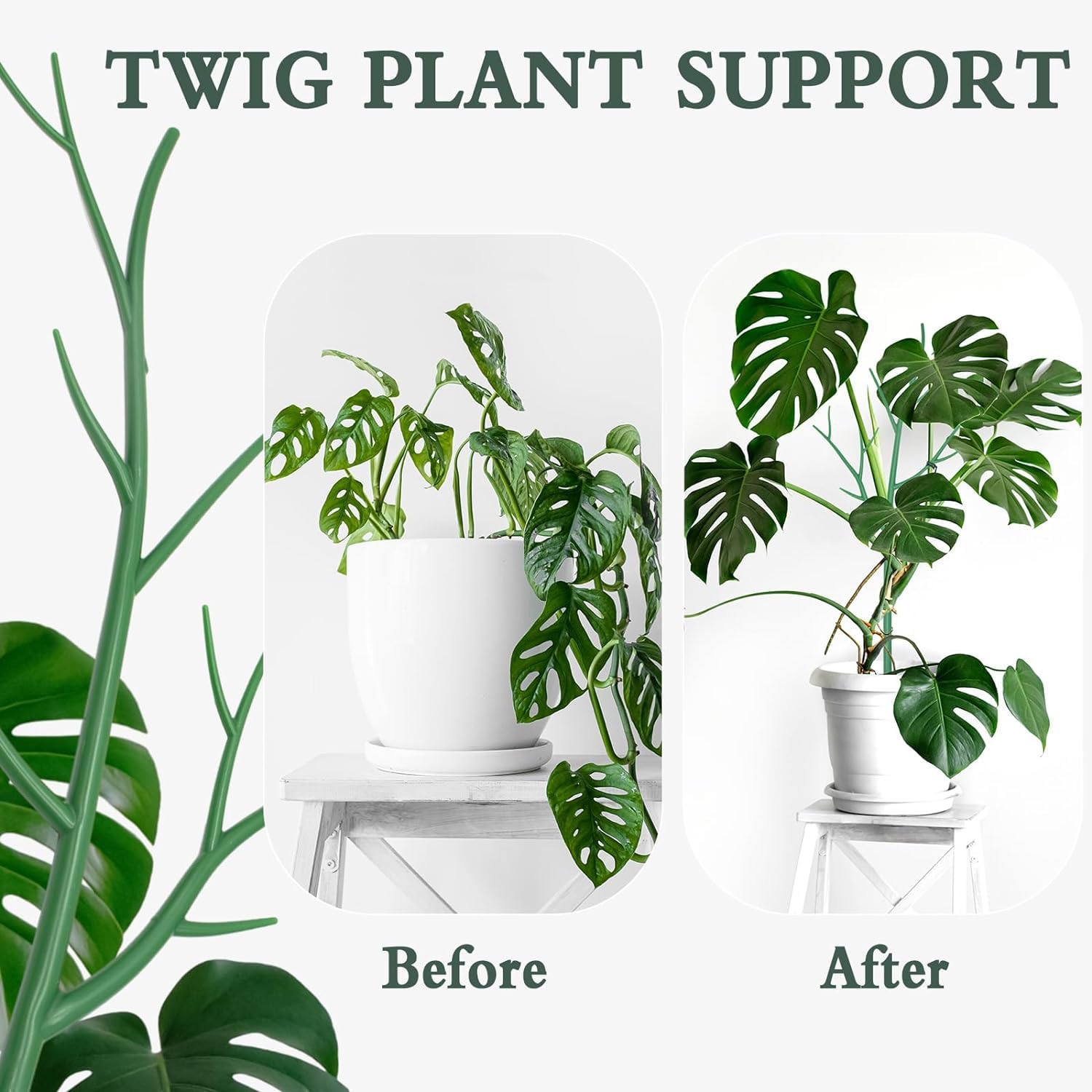 KeuLen Tuteurs for fraisiers, Monstera, Tuteurs for Jardin, Tuteurs en Plastique for tomates, Supports for Branches, 5 pièces