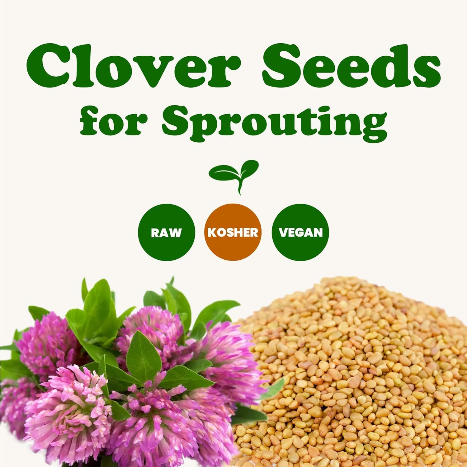 Food to Live - Clover Seeds for Sprouting, 5 Pounds Pure, Vegan, Kosher, Bulk. Edible Seeds. Rich in Vitamin C. High Germitation Rate. Grow Sprouts, and Microgreens for Salad, Sandwiches, Rolls.