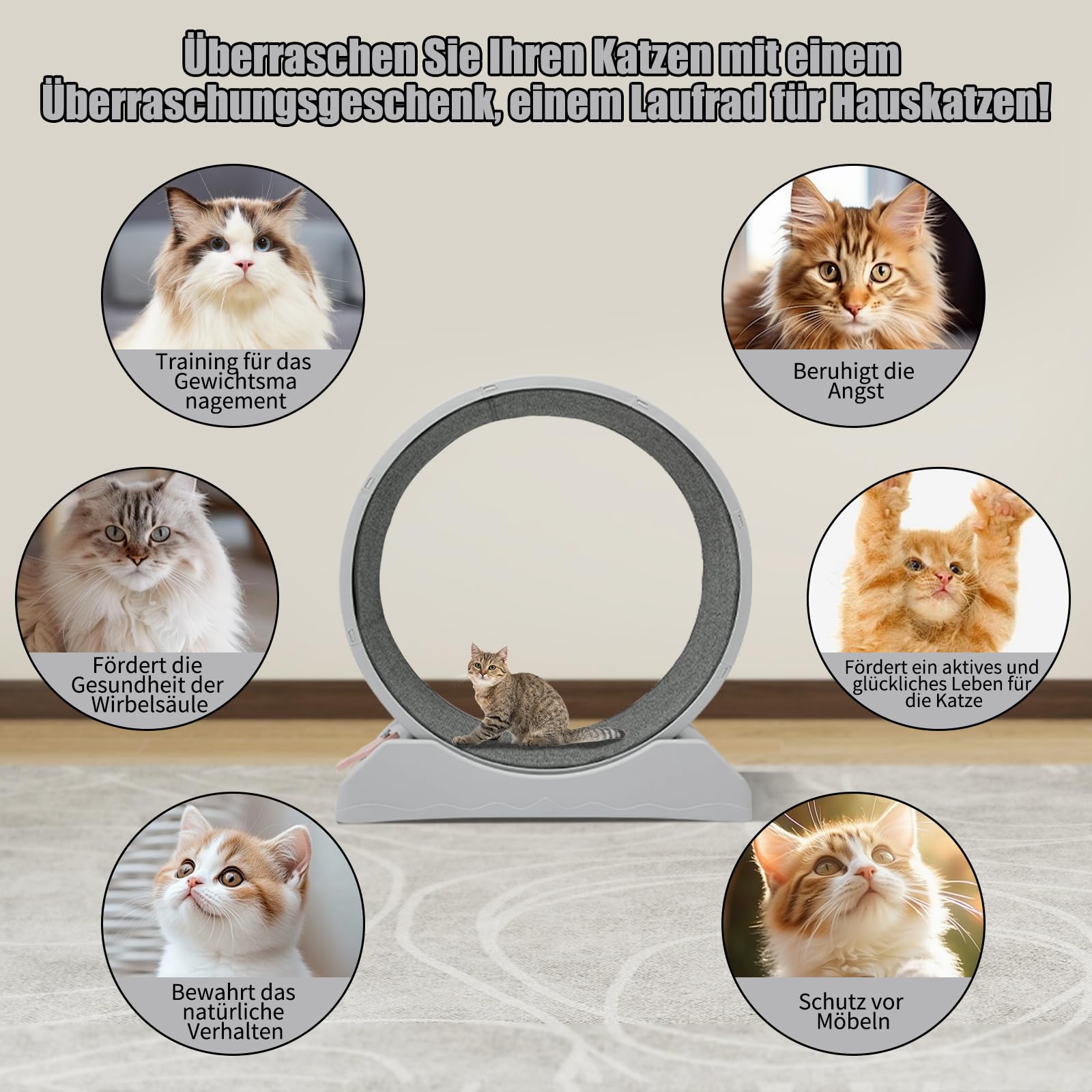 Rueda para gatos con bloqueo, carga máxima de 10 kg, dispositivo de fitness para pérdida de peso, adecuado para casa, tienda de mascotas, etc