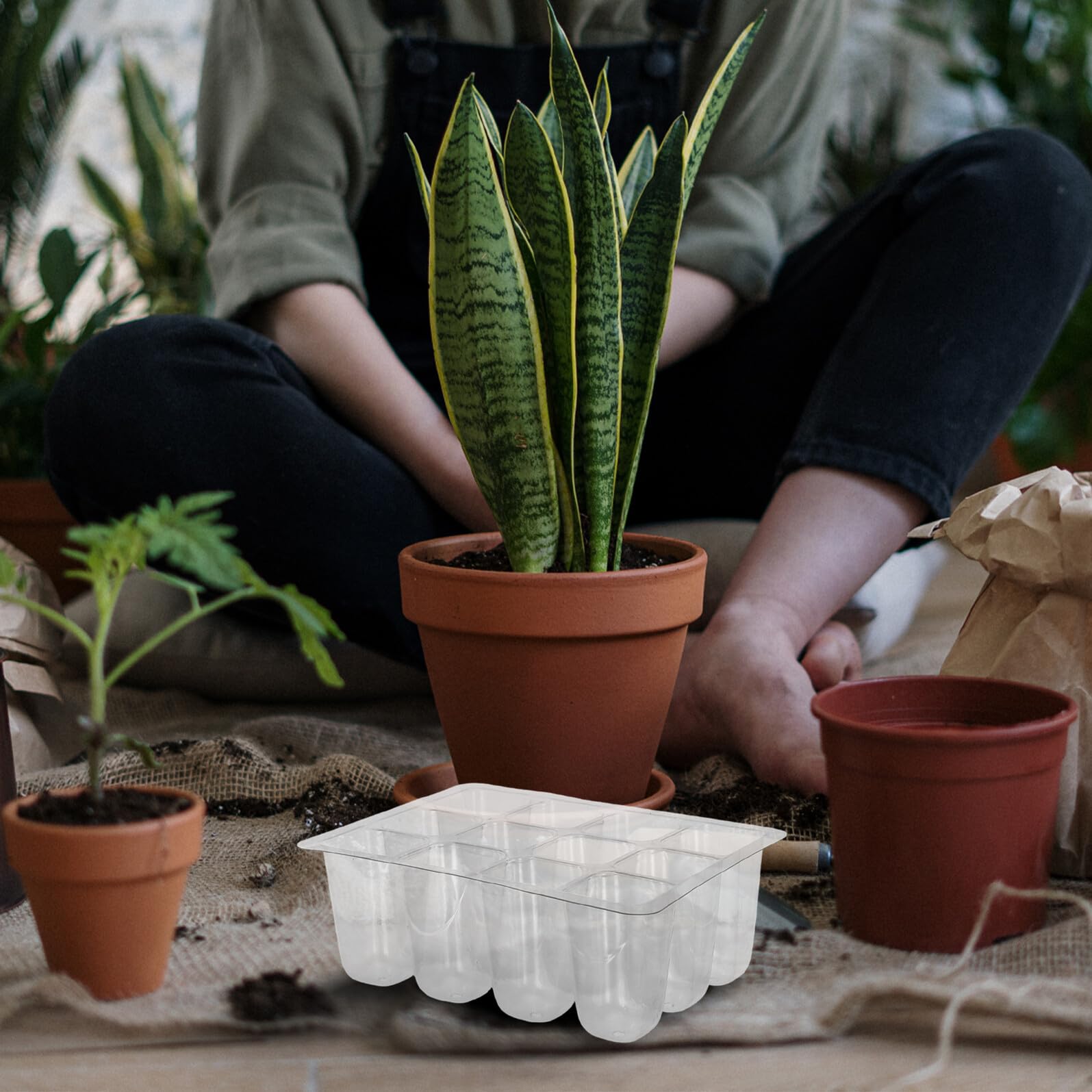 Bandejas de Germinación de Plántulas Transparentes de Plástico 30 Piezas | 12 Celdas con Orificios de Drenaje, Reutilizables, para Jardinería Interior y Plantas Ornamentales