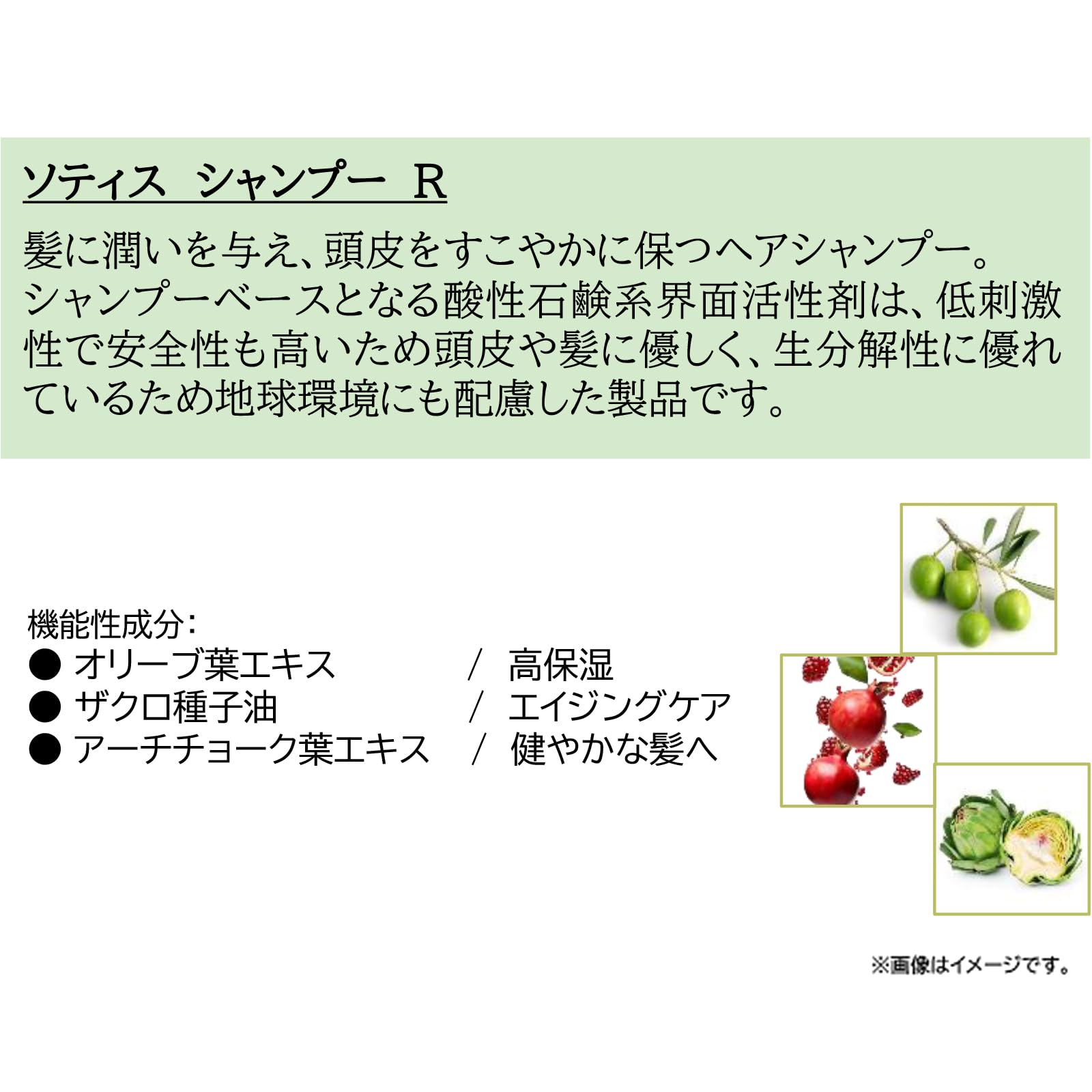 Amazon | ソティス(SOTHYS) シャンプーR 詰め替えサイズ2.5L | SOTHYS