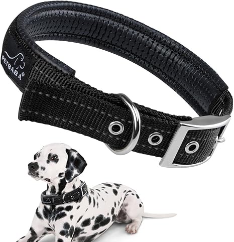 Dog collars for training to walk Clearance