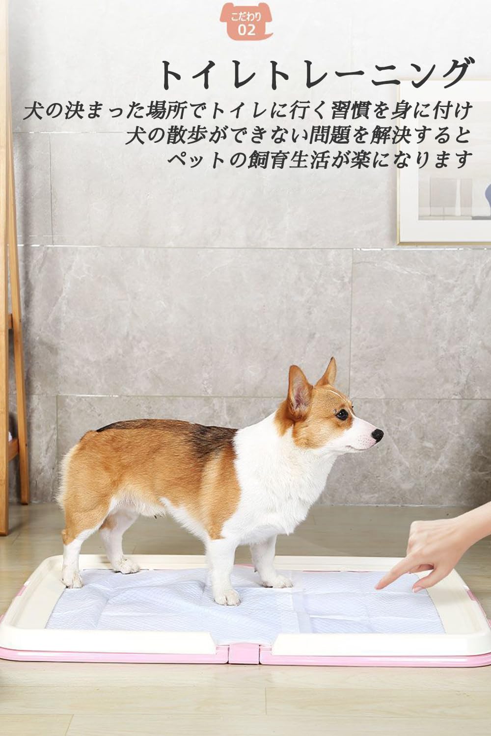 Amazon | 犬 トイレ 折りたたみ式 犬 トイレトレー ワイド 保護掃除が