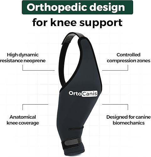 Miniatura 7 de Ortocanis - Rodillera para perro - Para pierna trasera derecha - Hecho de neopreno ARD - Para desgarro del ligamento, lesiones de ligamentos,