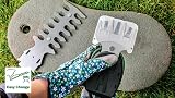 Bosch Cordless Hedge Trimmer and Grass Shear - EasyShear - 3
