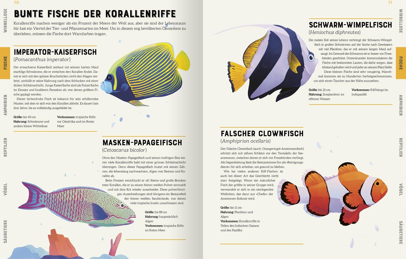 Das große Lexikon der Tiere: Kompetentes Nachschlagewerk über die faszinierende Welt der Tiere | ab 8 Jahren