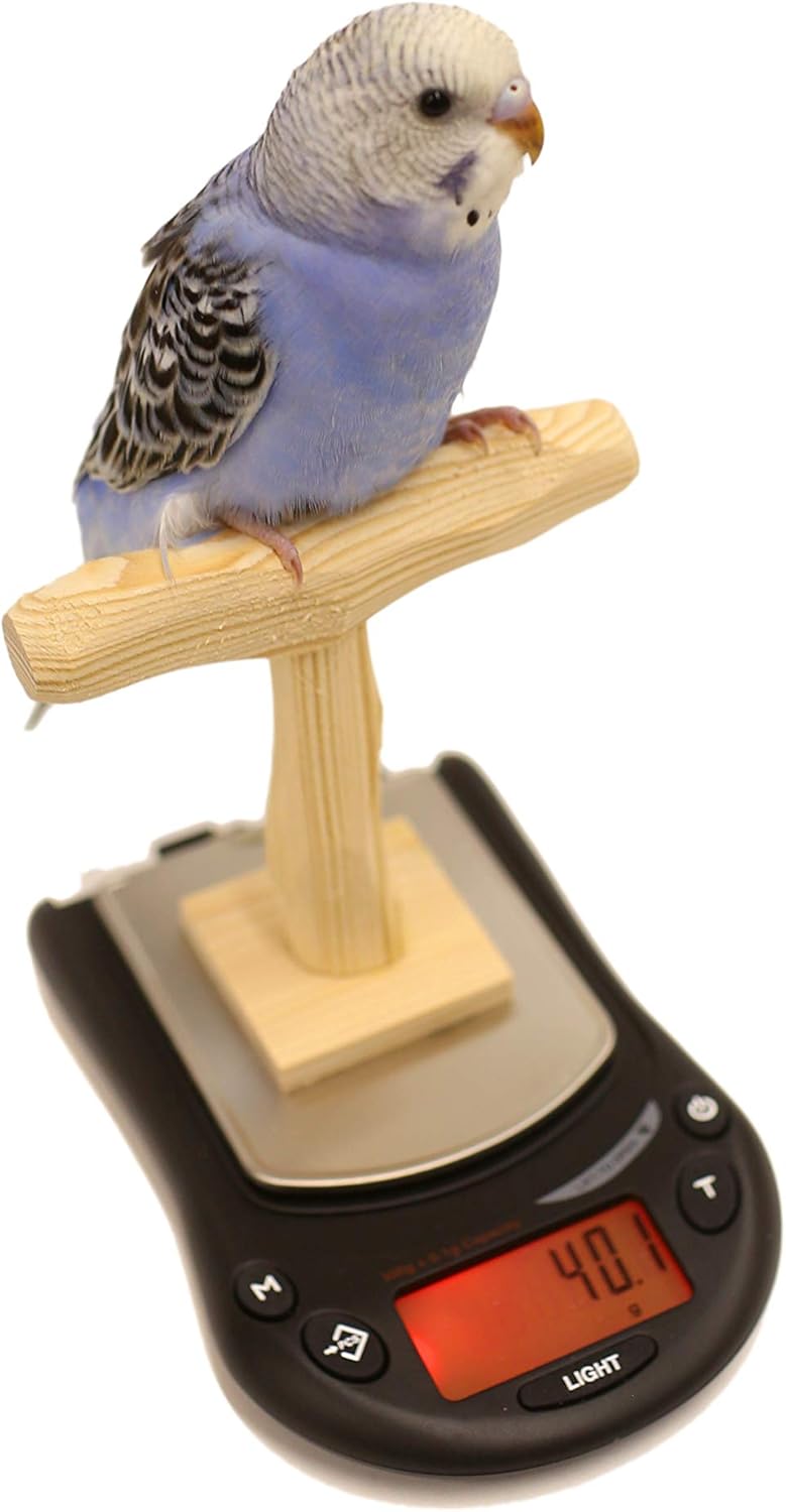 Mini NU Perch Parakeet Training Scale - Small Parrots & Parakeets
