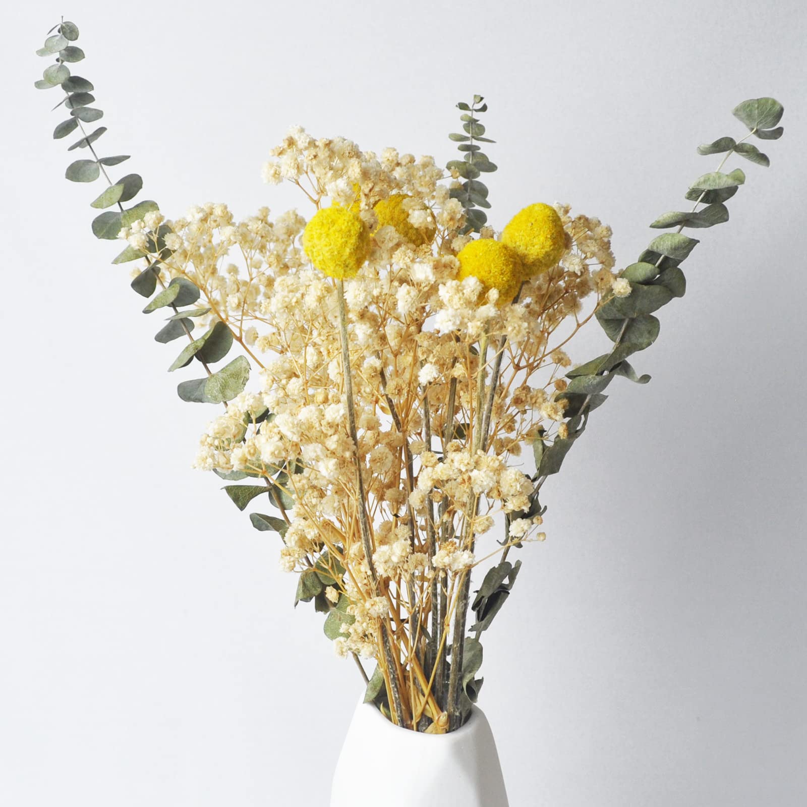 L'BREVOGA Dried Flower Bouquets