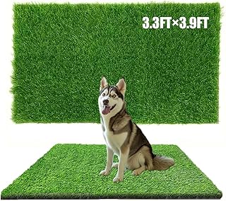 Antenat Artificial Grass for Pets and Patio