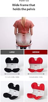 Roichen Chair for Ladies (Medium), Red, Posture Correction Chair, Lumbar Support, Back & Waist Support