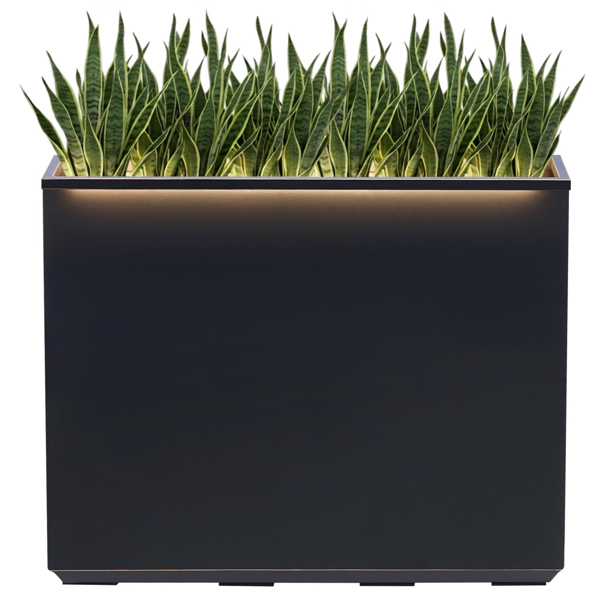 Wallowa Metallic Heavy Planter with LED Light