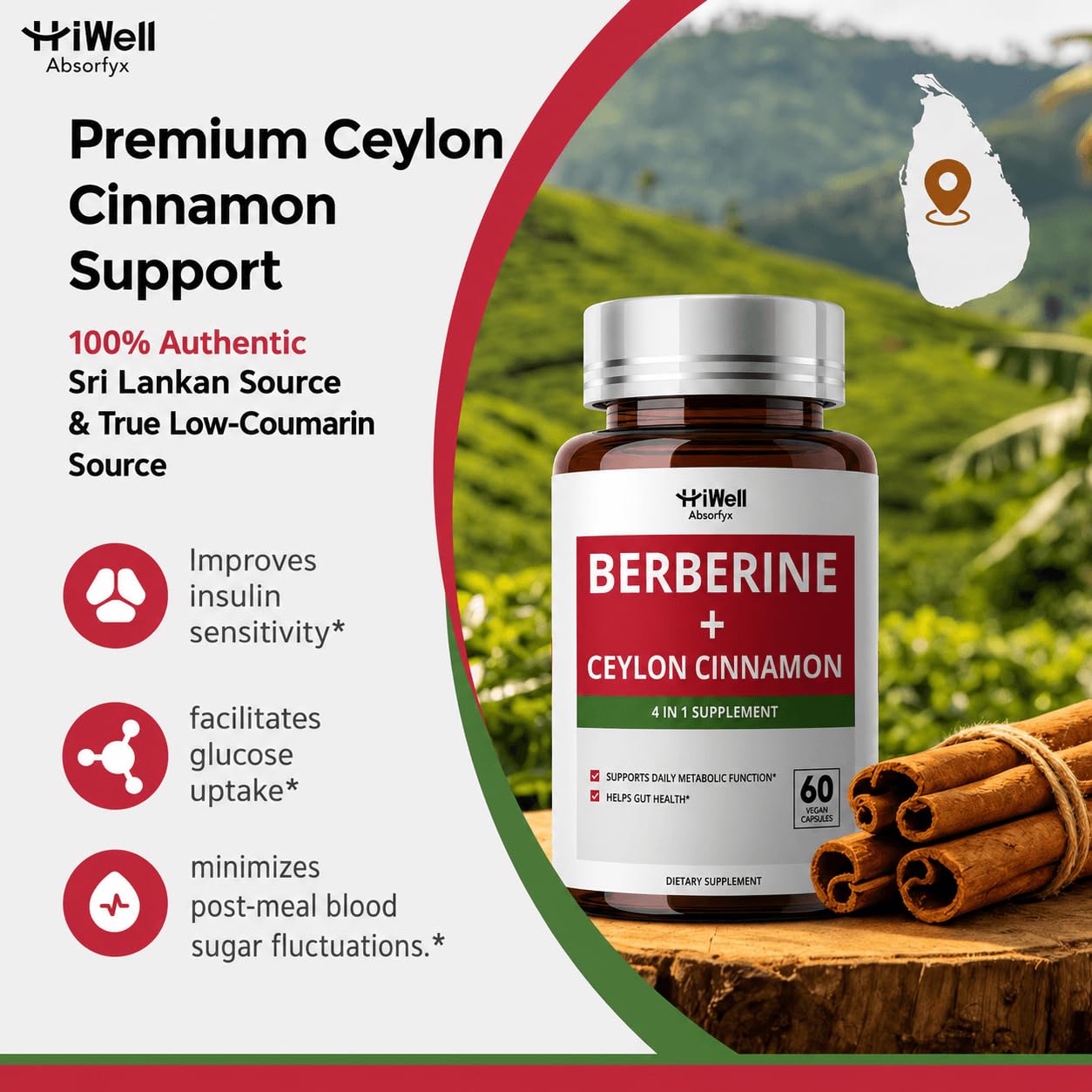 HiWell Berberine with Ceylon Cinnamon 300mg, Gentle 4-in-1, 30-Day Supply — Amazon image 3