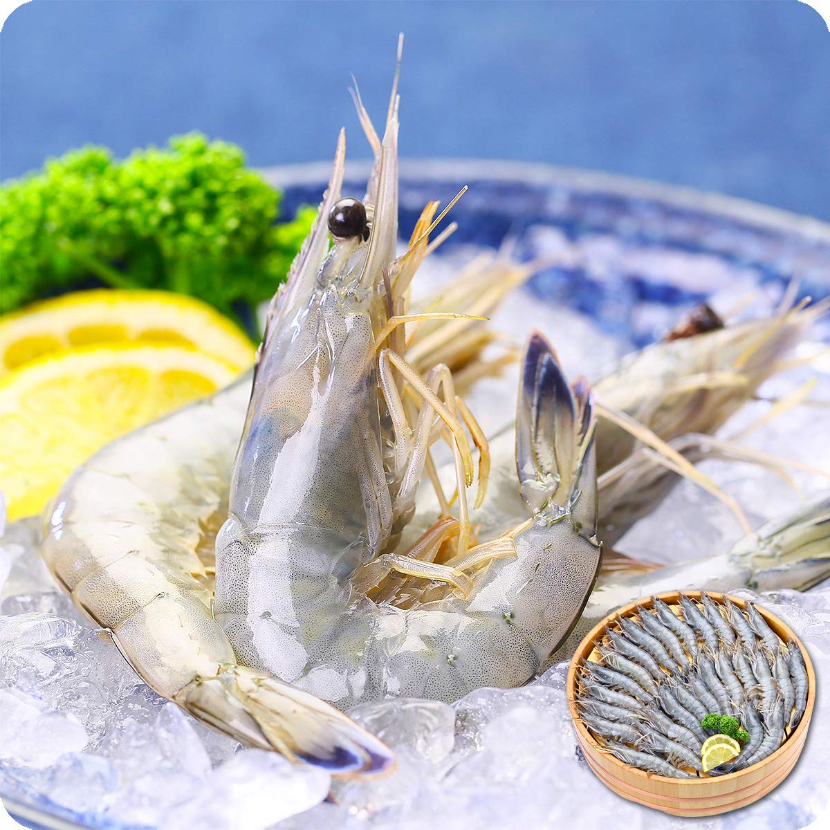 Amazon.co.jp: 甲羅組 エビ えび 天使の海老 1kg 30～40尾入 天使の