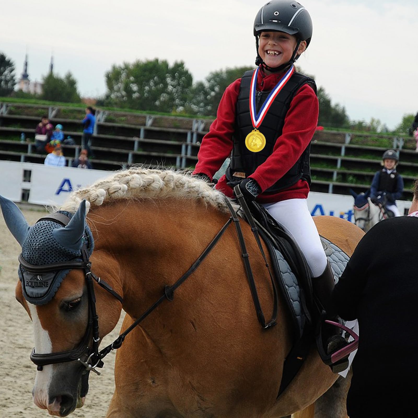 Donrime Pack of 12 Horse Medals for a Children's Birthday Party, Gold Metal Medal Horse Birthday Party for Boys, Children, Adults