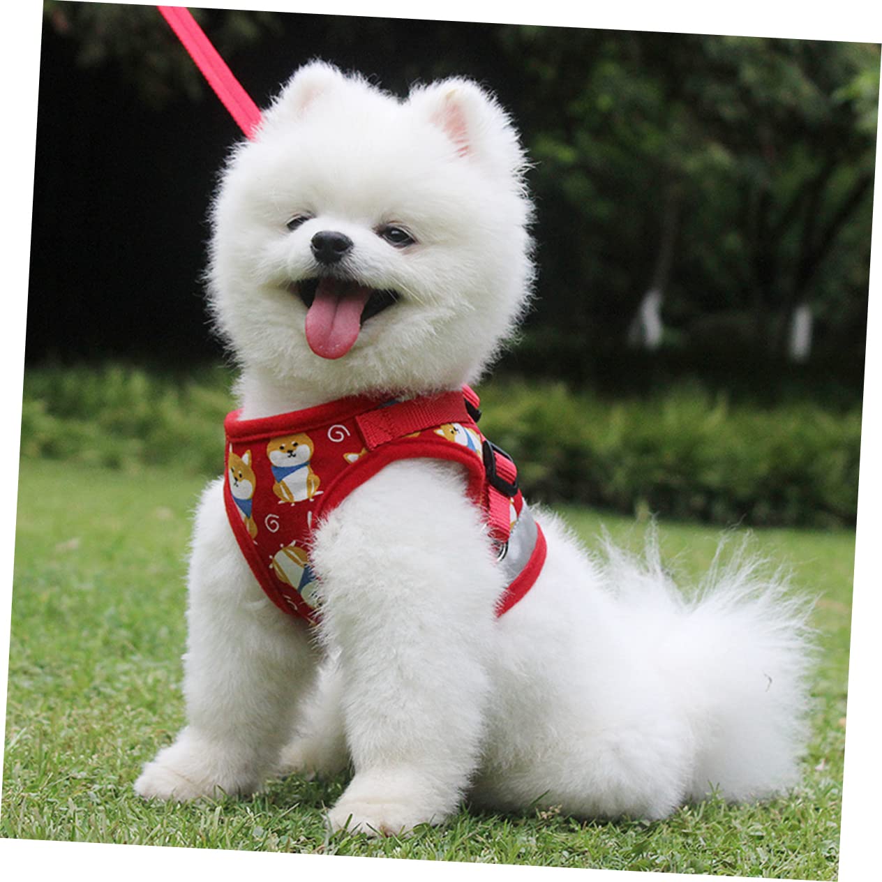 Didiseaon Chaleco con Diseño De Dibujos Animados para Perros Pequeños 3 Unidades Correa De Cómoda Suministros para Mascotas Correa De Tracción para Perros