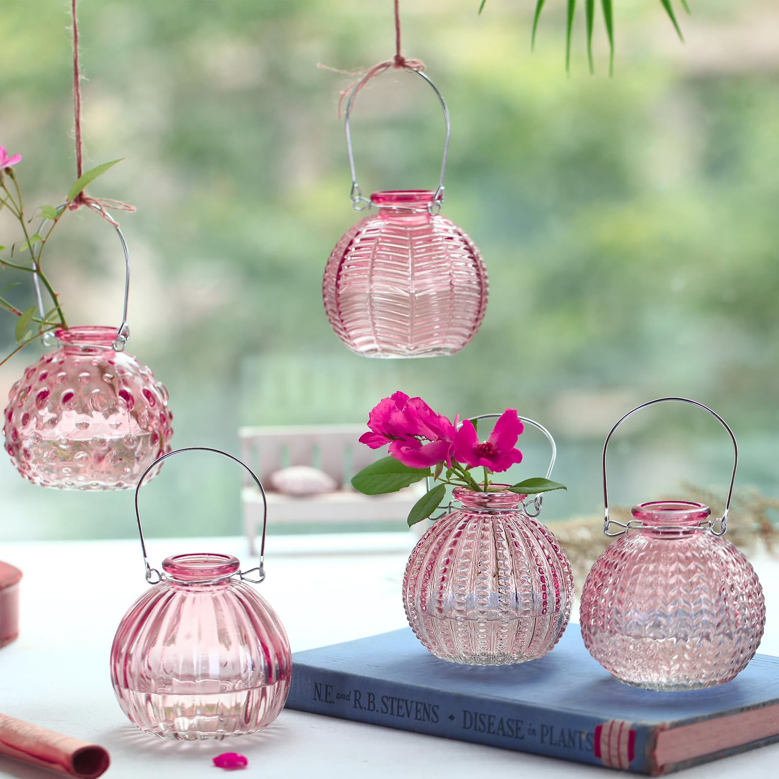 Amazon.co.jp: ElegANTTIME ガラスつぼ花瓶 レッドセット マルチカラー