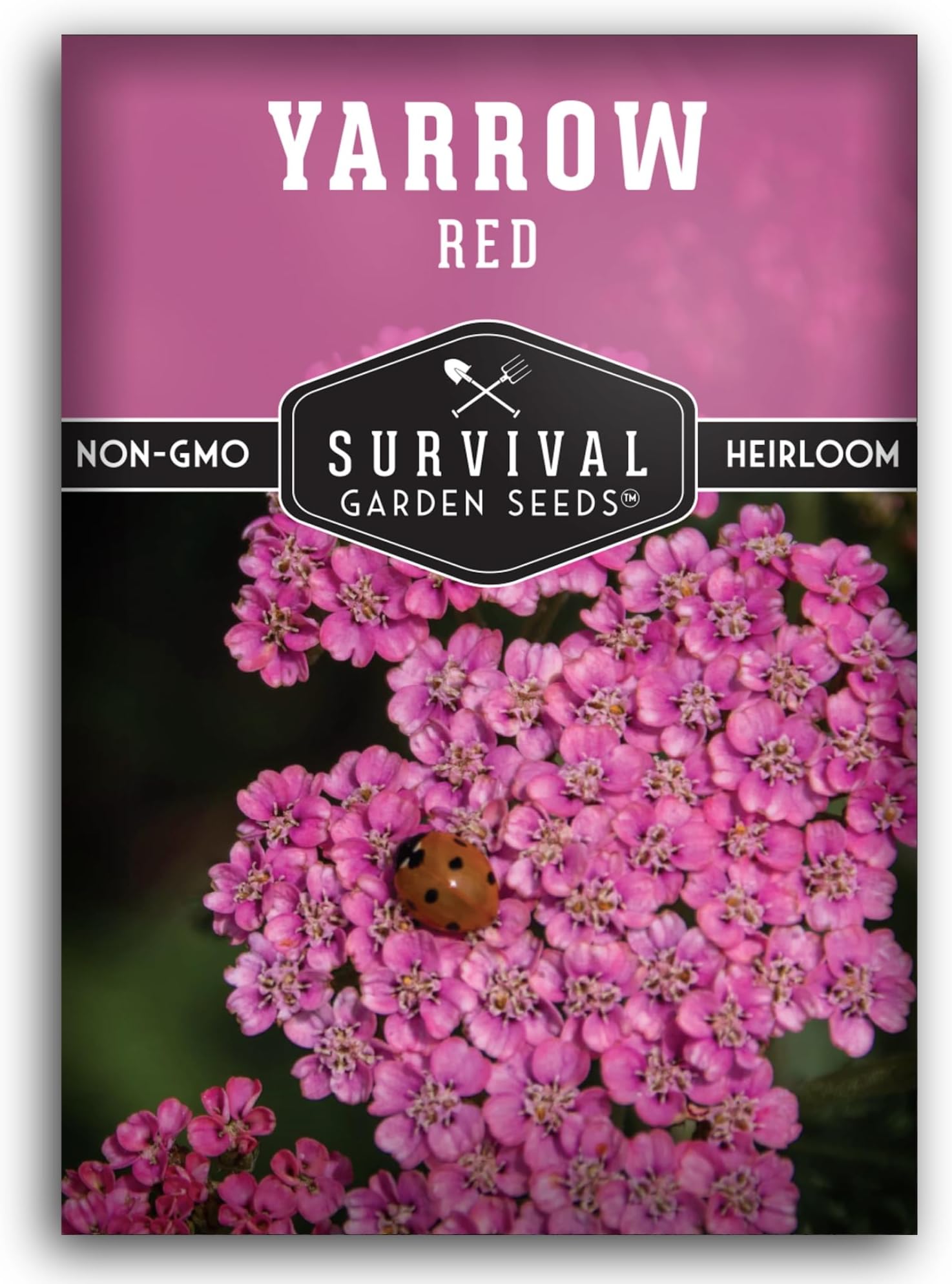 Red or Pink Yarrow Seeds for Planting – Heirloom Medicinal Herb & Perennial Flower Seeds, Pollinator Friendly Blooms for Cottage & Wildflower Gardens - Survival Garden Seeds (1 Pack)