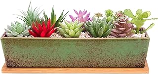 Succulent Pot - Large Succulent Planter Pots with Drainage, 12 Inch Long Rectangle Bonsai Pot with Bamboo Tray Shallow Ceramic Cactus Flower Planter Window Box for Home Garden Decor (Green)