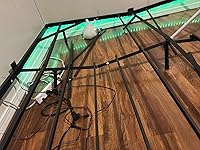 Review Image by chanda chanda