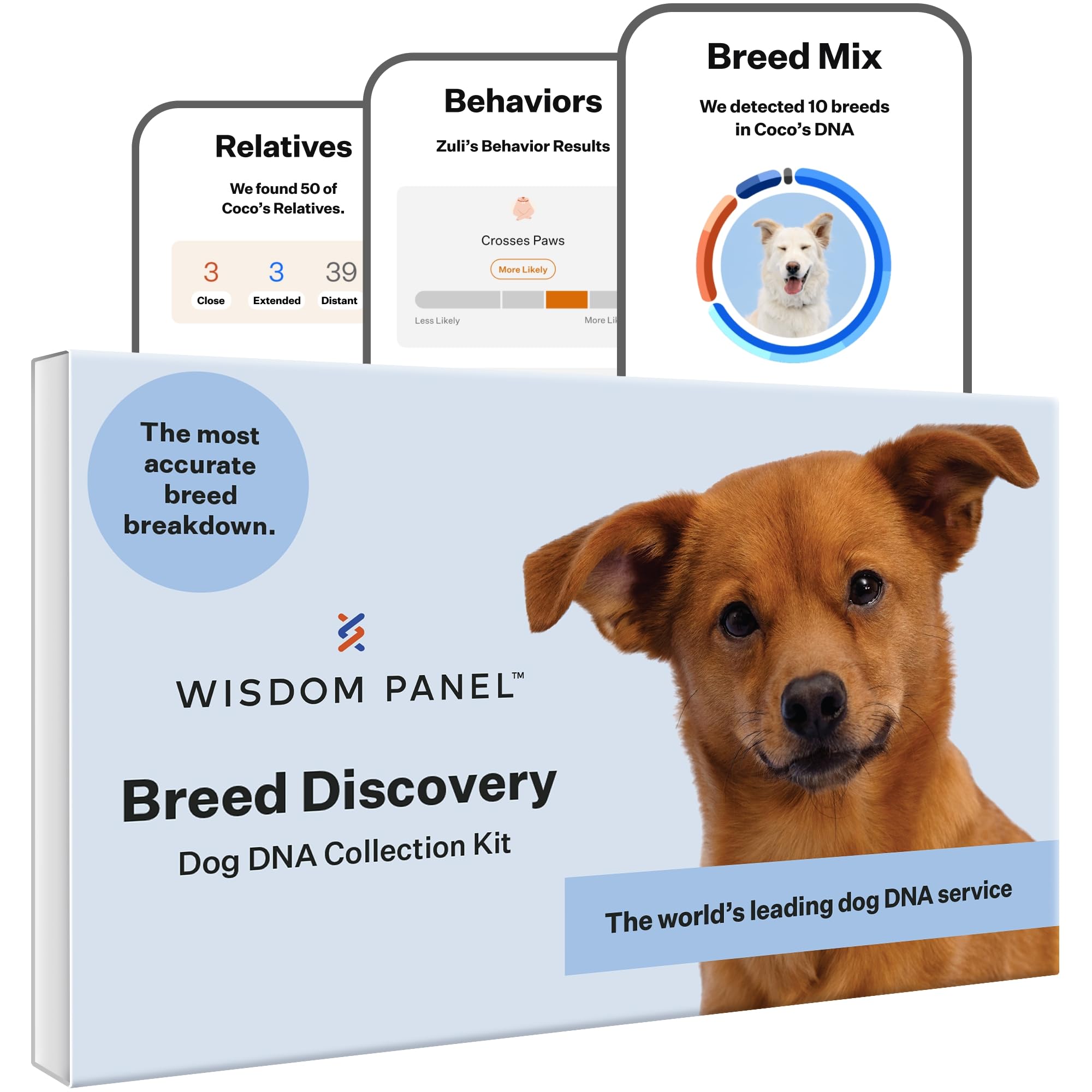 Wisdom Panel Breed Discovery Dog DNA Test Kit 430+ Breeds, MDR1 Health Test