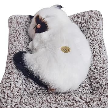 Realistic Sleeping Cat Plush Toy | Soft, Lifelike Companion for Cat Lovers for Kids & Adults | Decorative & Collectible | Size 18cm (Multicolor)