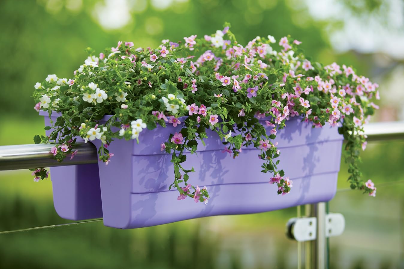 Prosperplast Jardinière de balcon RATO CASE 58x18x19 cm - Mocca | Leroy Merlin