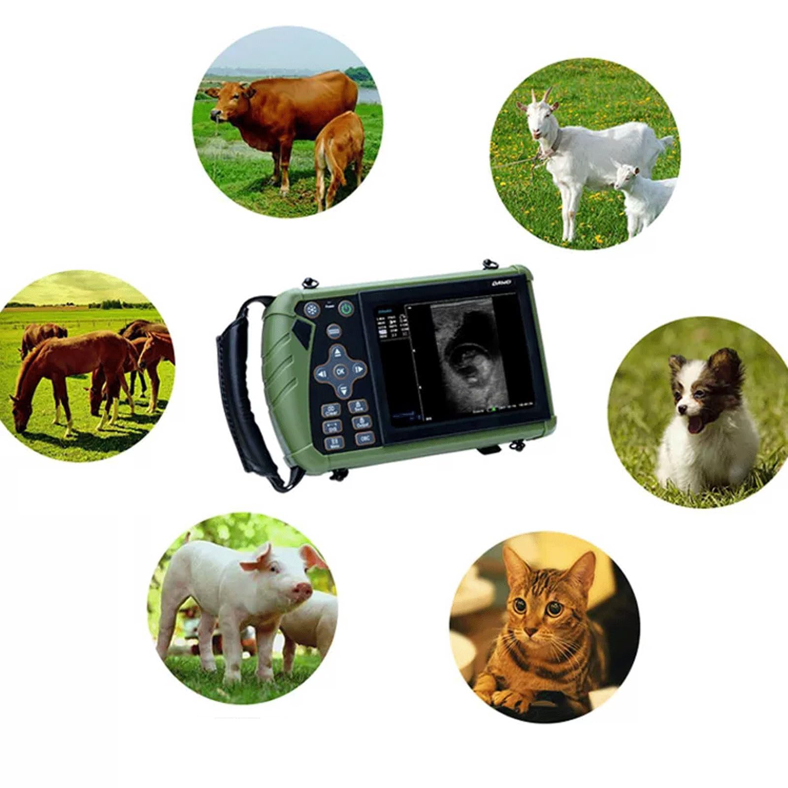Échographe Vétérinaire Portable,Scanner Échographique B Haute Définition Avec Sonde Mécanique Étanche,Détecteur De Gestation Rechargeable Pour Porcs,Chèvres,Moutons,Chiens Et Bétails D'Élevage