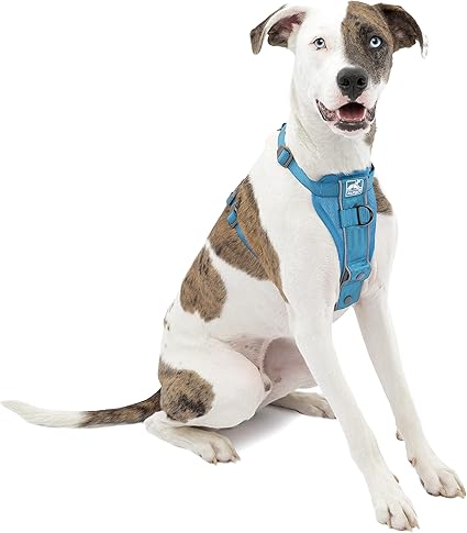 front walking harness for dogs