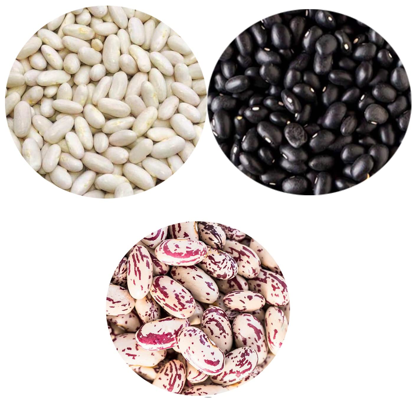 Hotkar Desi Unpolished Pure beans combo rajma (white, black and chitra), 250grams each (B0B9828766) Amazon Price History, Amazon Price Tracker