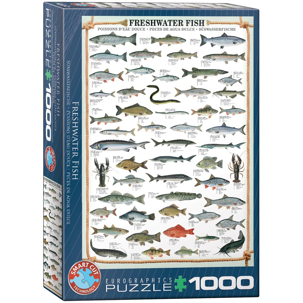 Freshwater Fish 1000-Piece Puzzle