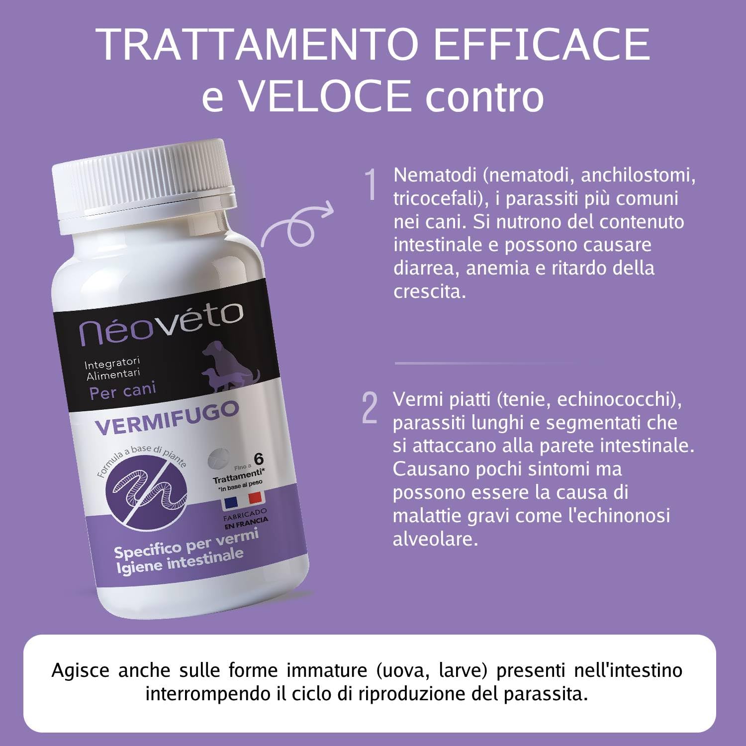 NEOVÉTO Vermipurge - Odrobacz dla psów w naturalnych tabletkach - substancje czynne zatwierdzone przez francuskie służby weterynaryjne - wyprodukowano we Francji, łatwe w podawaniu - 15 apetycznych