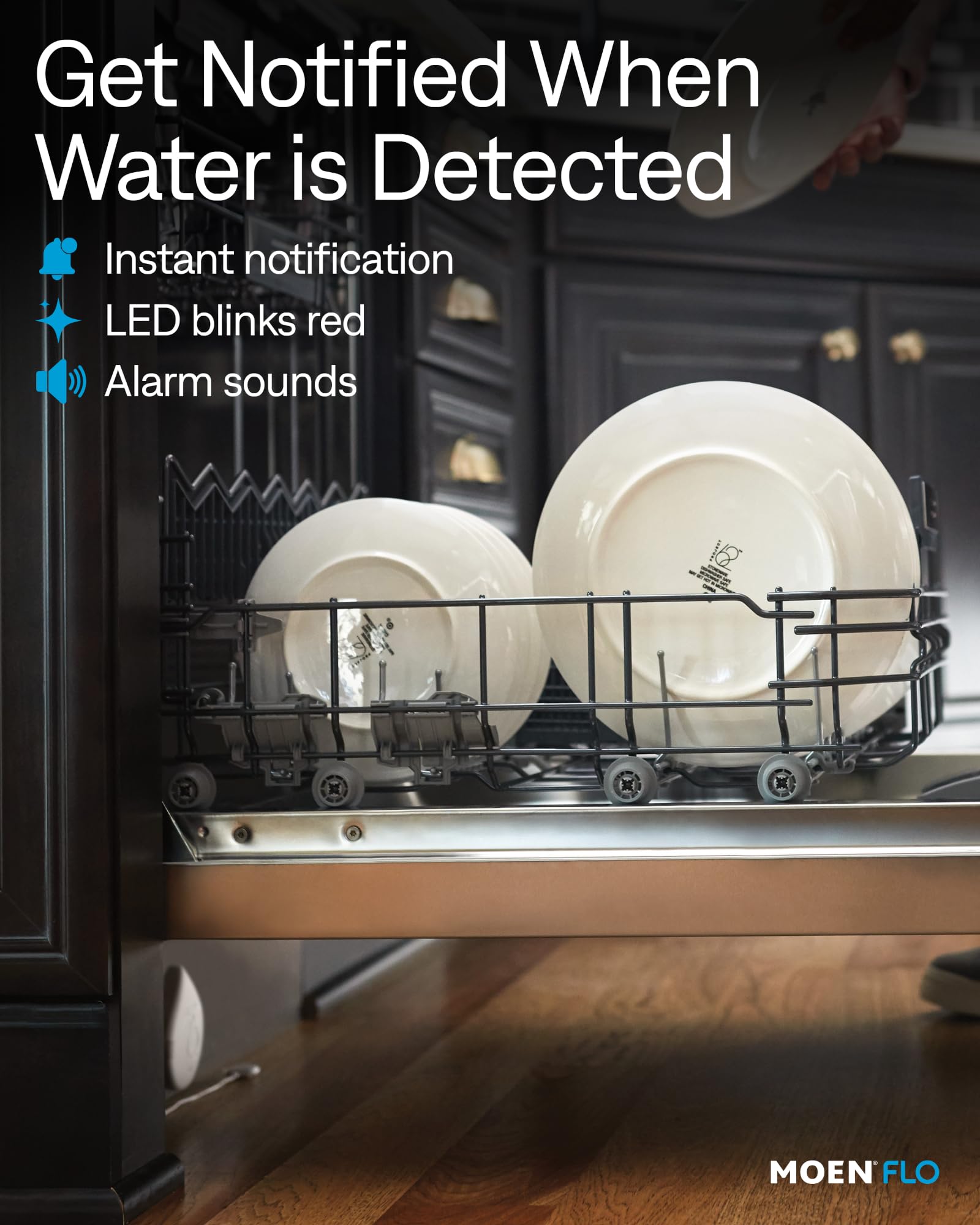 Moen 920-004 Flo by Moen Smart Water Detector, 1-Pack