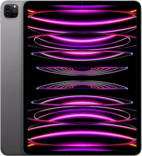 Apple 2022 iPad (12.9-inch Wi-Fi 512GB) - Space Gray (Renewed)