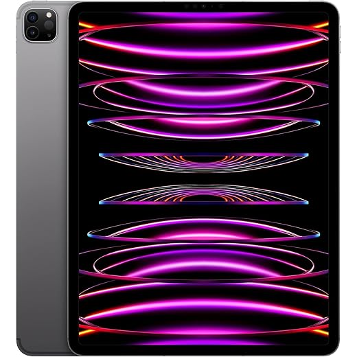 12.9-inch iPad Pro (M2, 256GB)