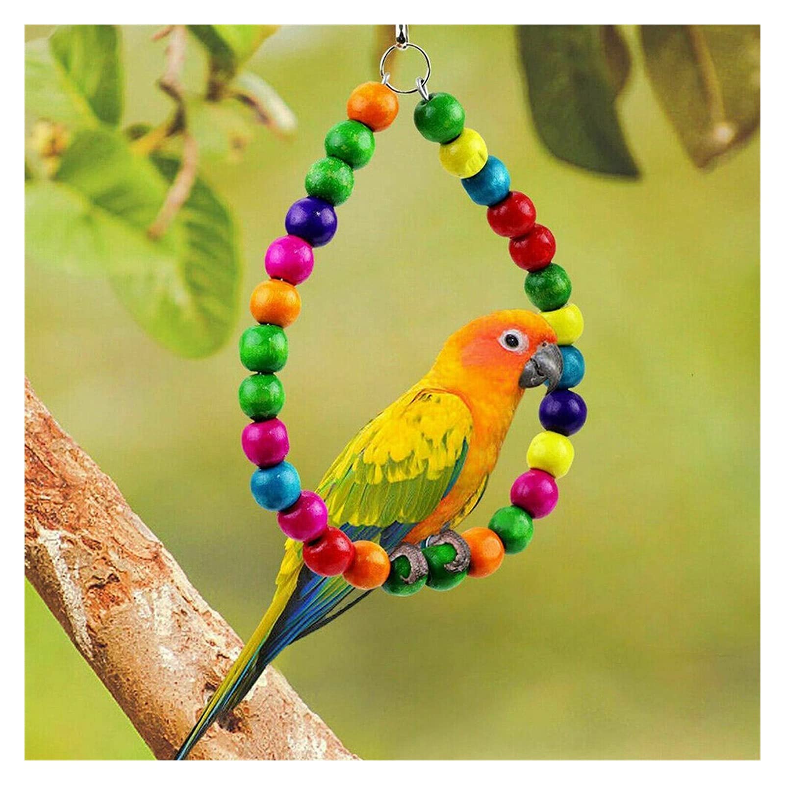 Jouet pour oiseaux 10 pièces/ensemble Cage à oiseaux Jouet pour perroquets Fiable à mâcher Balançoire à mâcher Pont de morsure Bois Perles Boule Cloche Jouet