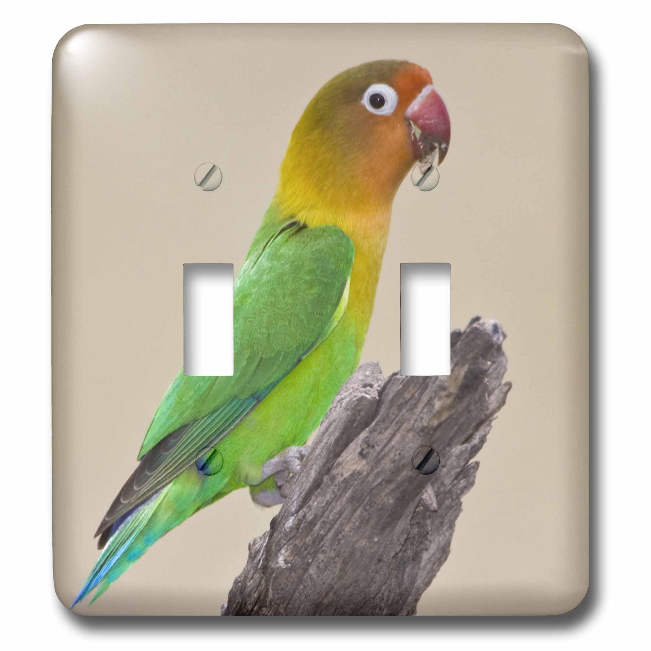 Fischer's Lovebird interrupteur double pour remplacer vos plaques blanches tristes