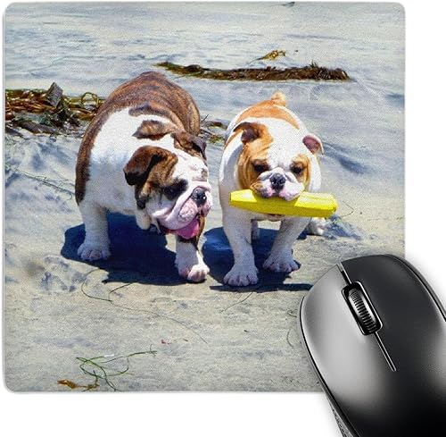 3dRose LLC - Alfombrilla de mouse con patrón de paseo de Bulldog Inglés de 8 x 8 x 0.25 pulgadas (mp_46505_1)