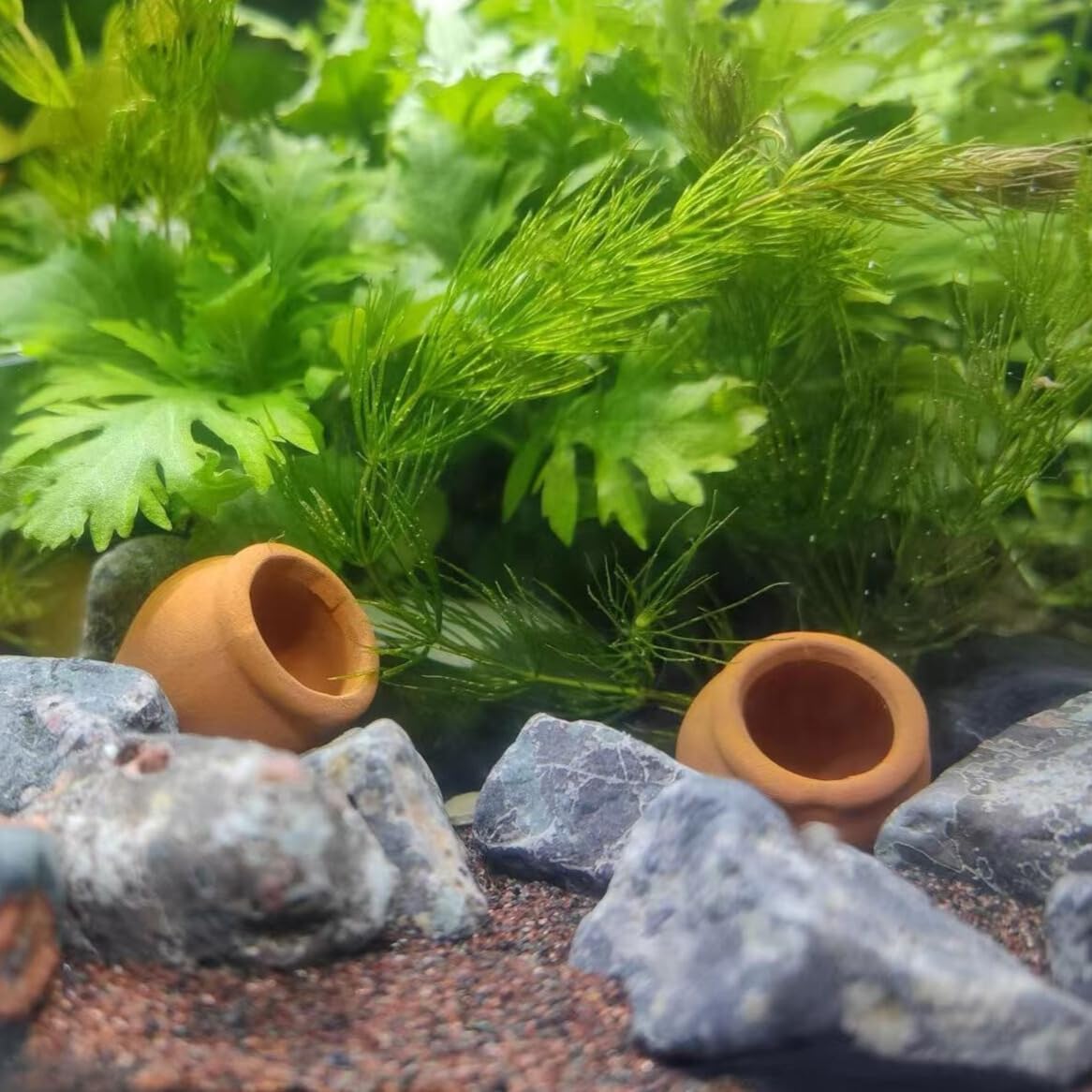 20x Mini Tontöpfe für Puppenhaus & Miniaturgarten – Natur-Terrakotta – Ideal für 1:12 / 1:6 Maßstab, Moos-Terrarium, Mikrolandschaft & DIY Deko (Bauchform ohne Abflussloch, 1,2 cm)