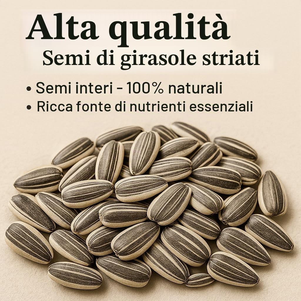 GiDeli Semi Di Girasole A Righe, 25 Kg, Mangime Per Uccelli Selvatici E Domestici, Per Tutto L'Anno, Invernale, Per Cinciette, Fringuelli, Passeri, Ricchi Di Olio