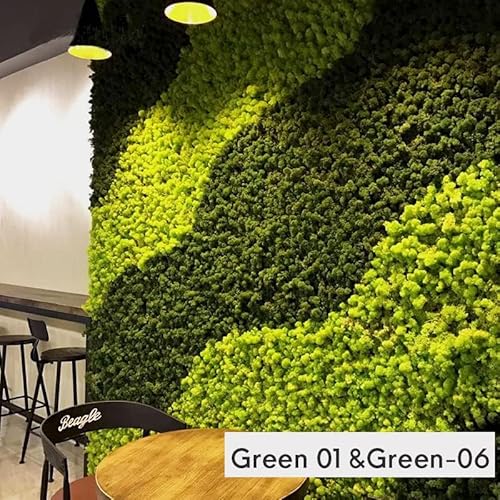 Kit de Bricolaje de Musgo de Reno conservado, Verde Natural, terrarios, jardinería, decoración de Pared, decoración de floristería, Mesa de Pascua, decoración de Boda (1 Libra) (verde-06) - imagen 4