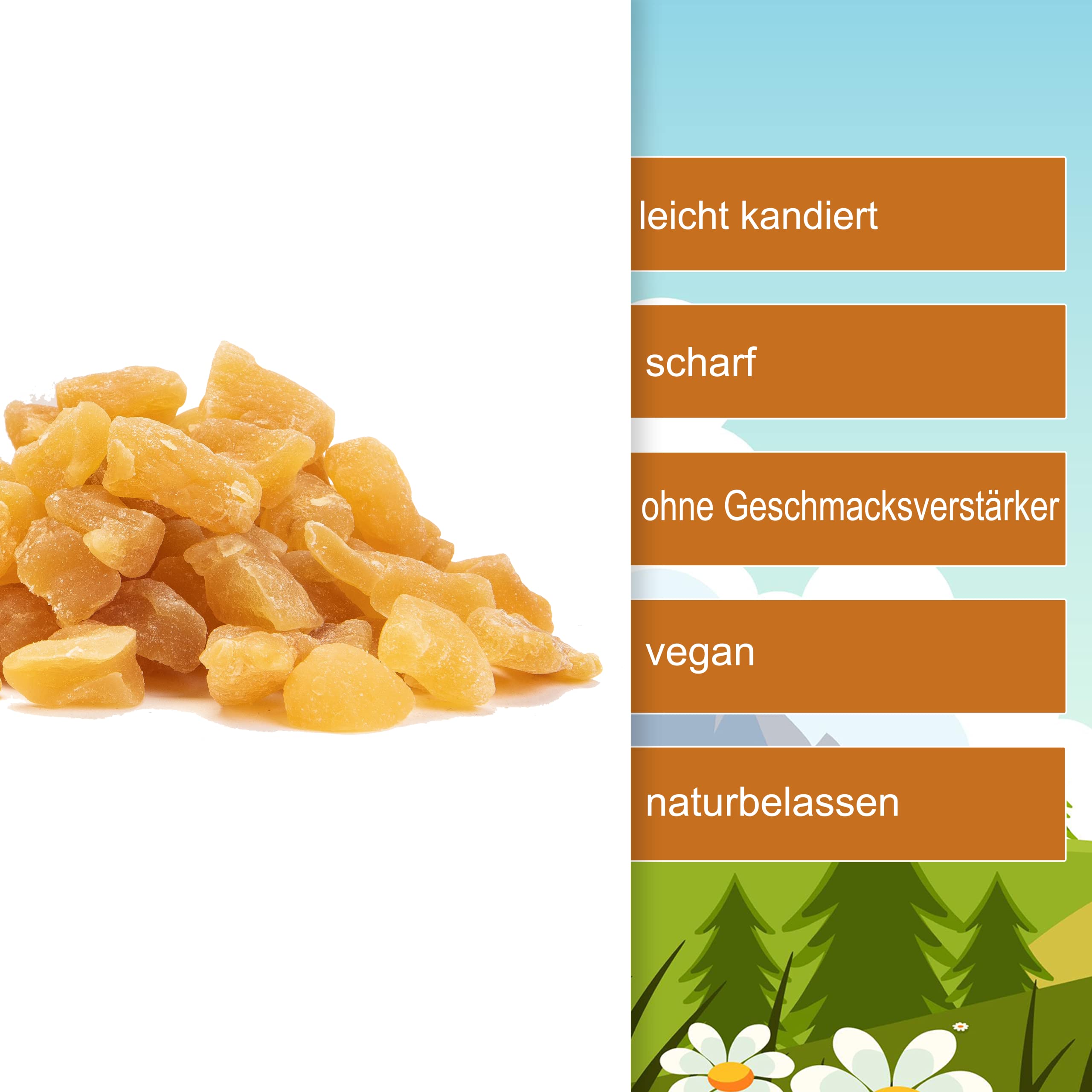 Ingwerstücke leicht kandiert scharf 3kg - Ingwerwürfel vegan naturbelassen ungeschwefelt getrocknet 100% Natur