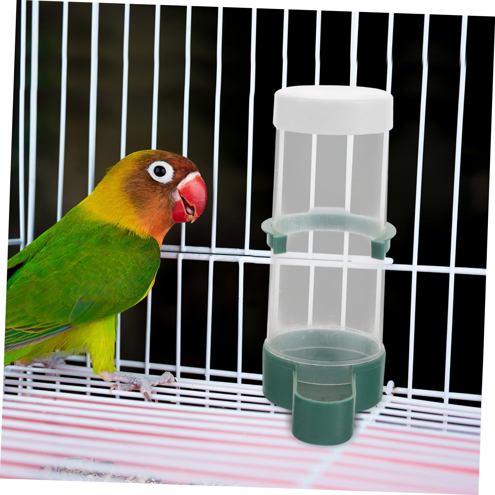 COLLBATH Automatischer Vogelfutterspender Aus Kunststoff Müheloses Füttern Für Papageien Sittiche Kanarienvögel Und Finken Zubehör Für Vogelkäfige