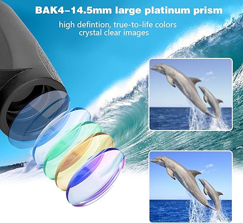 Miniatura 3 de Grathia Binoculares compactos pequeños 15X25