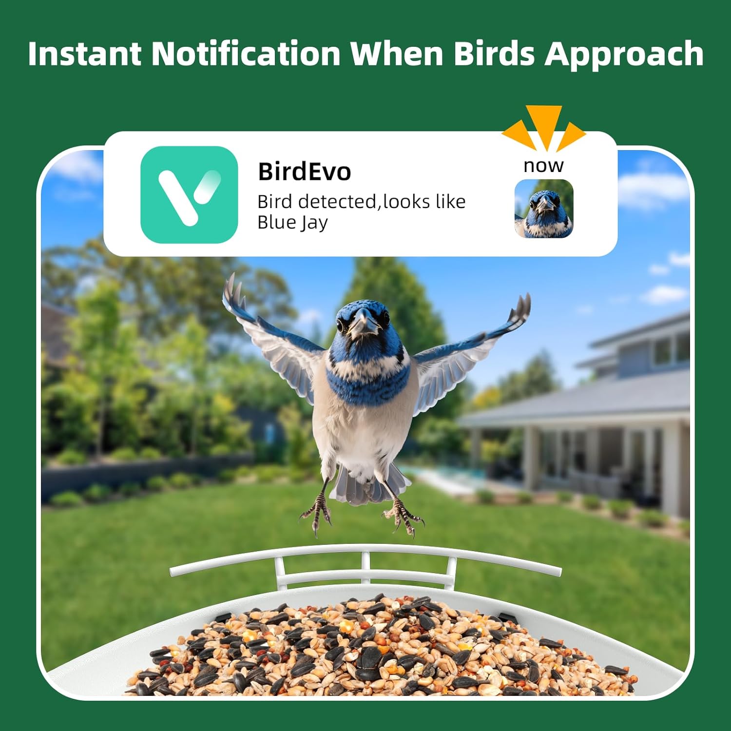 Smart Bird Feeder with Camera,Solar Powered Metal Bird Feeders for Outdoors,1.7L Large Capacity,Auto Capture & AI Identify,2K HD Live Video,Real-Time Notifications,Ideal Gifts for Bird Lovers