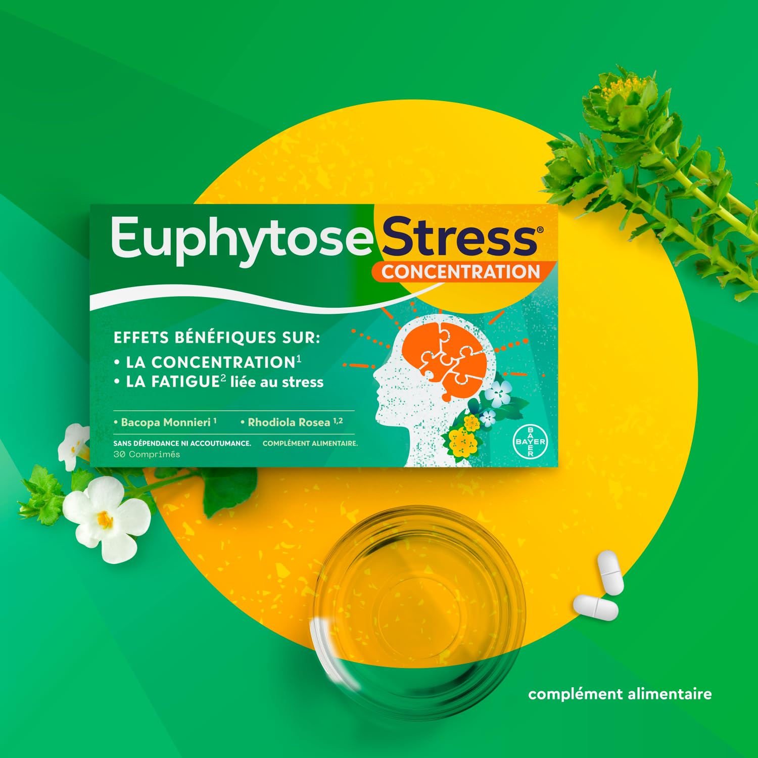 Euphytose Zen 30 comprimés - Lot de 4 boites (4)