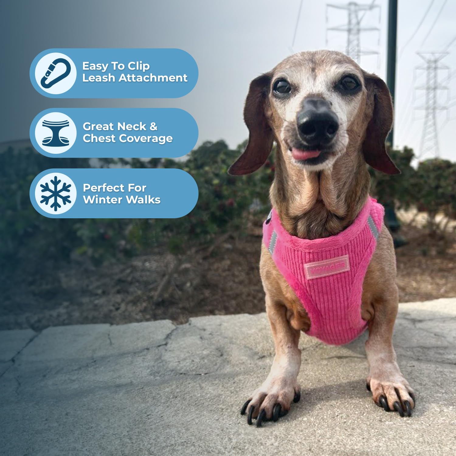 No-Pull Dog Harness - All-Weather Mesh/Plush, Reflective, Step-In Design For Small/Medium Dogs & Cats (Fuchsia, XS)