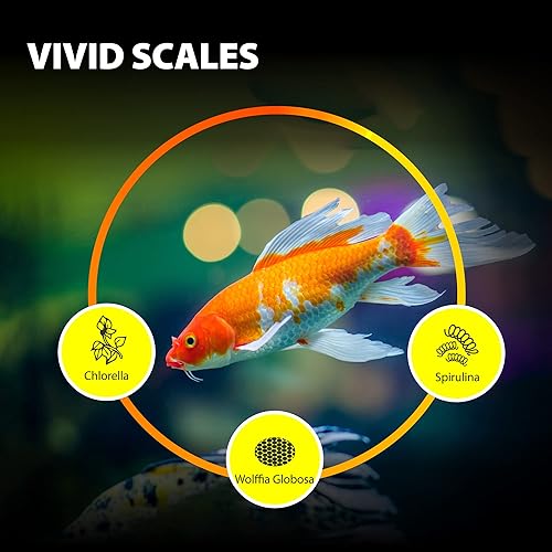 Miniatura 10 de GOOD PARTNER Purify Series para alimentos de pescado de disco, pellets tropicales que se hunden, adecuados para peces angeles, cíclidos y pescado,