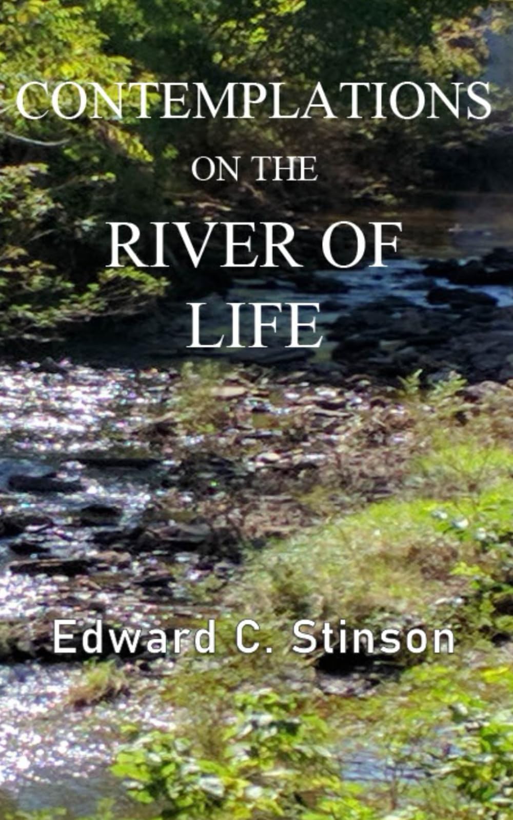 CONTEMPLATIONS ON THE RIVER OF LIFE: VOLUME ONE