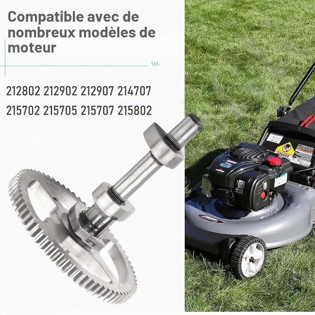 793880 Kit d'arbre à cames compatible avec les petits moteurs à 4 temps pour 282H00, 31E877, 331777, 210702, 210807, 31P700