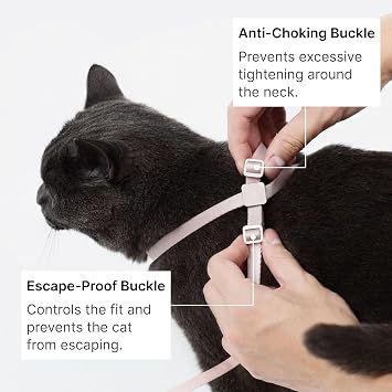 Cat Harness and Leash Set, Lightweight Escape Proof Cat Harness Leash with Padded Handle, Adjustable Cat Leash and Harness for Kitten Small Large Cats Walking Training (Sierra Blue, M)